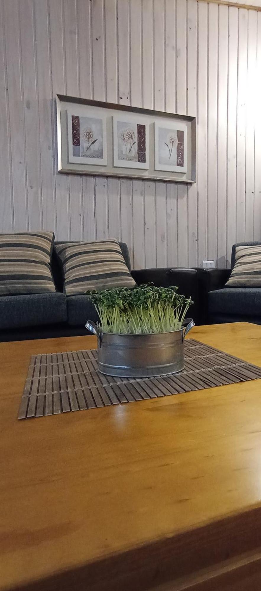 Cabana Los Coihues Lejlighed Puerto Montt Eksteriør billede